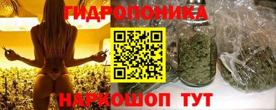 сатива Нарткала