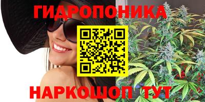 сатива Нарткала