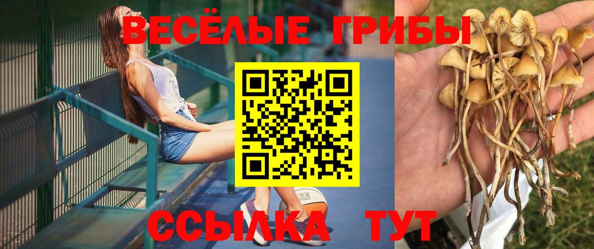 Барнаул  Псилоцибиновые грибы прущие грибы  Вход с VPN 